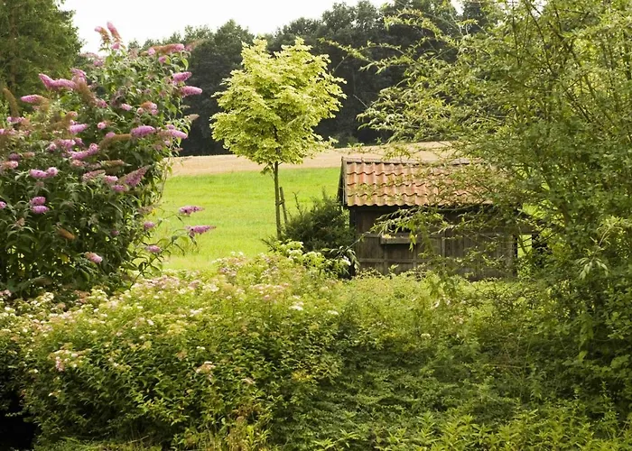 酒店 艾姆沃尔德巴德酒店 尤尔森